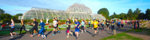 Kew the Run