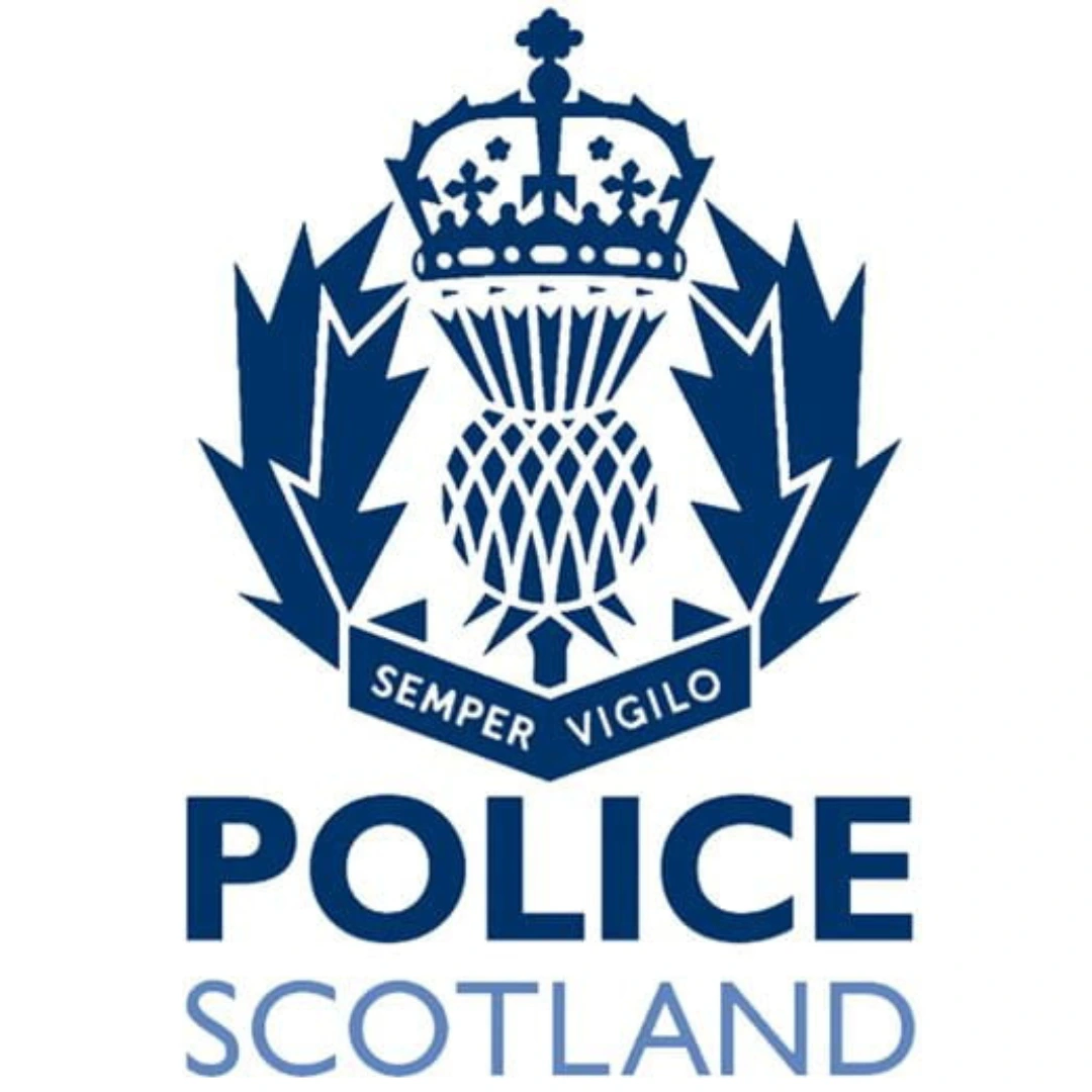 Untitled design (50)