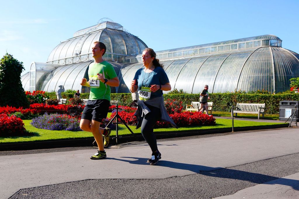 Kew The Run
