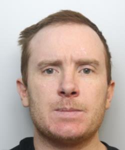 Stephen Burke official source photo